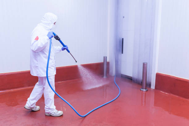 Best Pre-Holiday Cleaning  in West New York, NJ